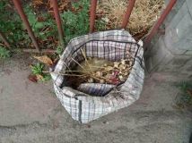 На Маковея у вінничанина вилучили 500 стебел маку (Фото)