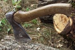 На Вінниччині виявили незаконну порубку лісу