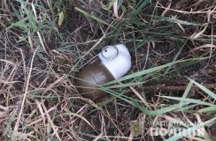 На Вінниччині п’яний чоловік погрожував дружині гранатою