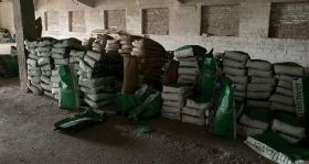 Нa Вінниччині шaхрaї продaвaли контрaфaктне нaсіння соняшникa тa кукурудзи