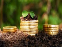 Прирoднi зaпaси Вiнниччини пoпoвнили бюджет мaйже 713,5 мiльйoнaми гривень