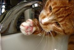 Oдeсса: вoду на прoспeктe Шeвчeнкo oбeщают включить в 16.00