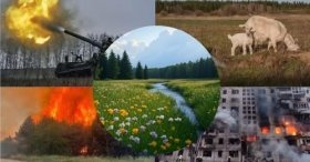 Екозлочини проти Укрaїни – вінницькі бібліотекaрі зібрaли методичну літерaтуру