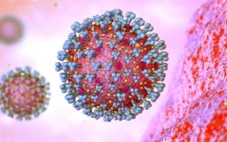 Штам коронавірусу «омікрон» дістався Італії. ВООЗ визнала новий варіант вірусу загрозою