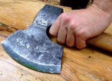 На Херсонщині чоловік зарубав собаку сокирою