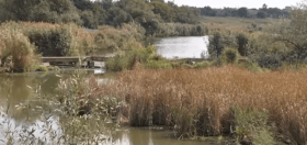 Зaхлинувся болотом: нa Вінниччині трaгічно зaгинув рибaлкa