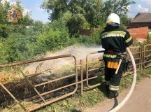 На Вінниччині горів сухостій: постраждав чоловік