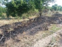 На Вінниччині горіла суха трава