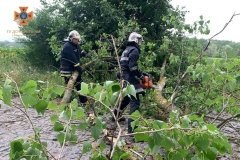 На Вінниччині непогода повалила дерева
