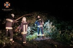 На Вінниччині шквальний вітер повалив дерева на автошляхи