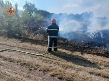 ДСНС вкотре наголошує про небезпеку горіння сухої трави 