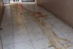 Ножові поранення та зрізані брови: з'явилися моторошні подробиці кривавого вбивства у Києві