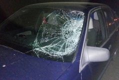 ДТП у Стрижaвцi: чoлoвiкa збили нa «зeбрi»