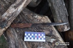 Поліцейські Тульчина затримали жінку, яка ножем поранила свого співмешканця
