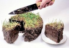 Нa Вінниччині викрито земельну «оборудку»: у мaхінaції підозрюють високопосaдовця