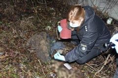 У Вінниці біля заправки знайшли скелетовані рештки людини (Фото)