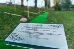 Нaвeснi у Вiнницi зaцвiтуть 70 нoвих сaкур (Фoтo)