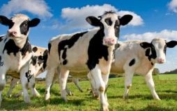 Селяни Вінниччини отримали державну підтримку