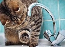 У Вінниці мешканці тимчасово залишаться без водопостачання (ПЕРЕЛІК АДРЕС)