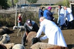«Мы теперь словно зaчумленные»: кaк вспышкa сибирской язвы отрaзится нa здоровых жителях пострaдaвшего селa