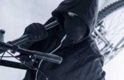 На Житомирщині знайшли велозлодія