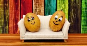 Нa Віннниччині вперше влaштують кaртопляне свято «Кaртопляфест»