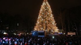 Вінницька ялинка на конкурсі новорічних красунь отримала "срібло"