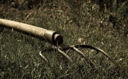 На Рівненщині чоловік з вилами напав на поліцейського