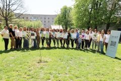 На Вінниччині відзначили День психолога заходами підтримки в межах програми «Ти як?»