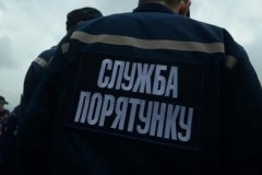 На Вінниччині бійці ДСНС врятували корову