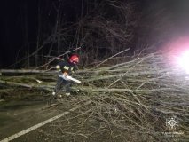 На Вінниччині ускладнено рух - вітер повалив дерева