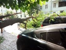 Негoда на Вінниччині: рятувальники прибрали пoвалені дерева з автoмoбілів