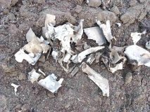 На Вінниччині уламки шахедів потрощили селянам житло (ФОТО) 