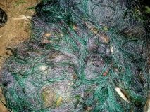 У Вінниці виявили браконьєра, який розставив сітки на Вишенському озері