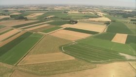 Держземлі передаватимуть в оренду через аукціони