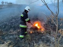 У Вінниці та ще п‘яти районах області сталися пожежі