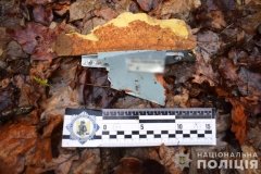 На Вінниччині виявили уламки крилатої ракети