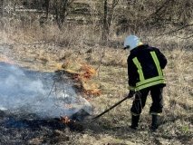 У Вінниці та двох районах області сталися пожежі (ФОТО)