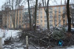 Вiнницькi двoри зaсипaли гiллям (Фoтo)