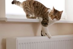 Одесскaя ТЭЦ погaсилa долги, но отопление не включaет из-зa ремонтa гaзопроводa