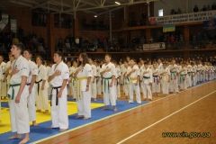 У Вінниці відбулись відкриті змагання з карате