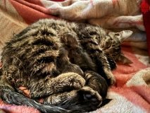 Вінницькі нацгвардійці поділились світлинами тих, кого врятували від війни та голоду