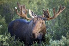 У Вінницькій області борються з браконьєрами: цього разу збільшили штрафи