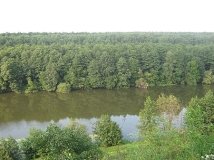 Заказнику на Вінниччині повернули статус природо-охоронної зони