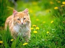 7 червня в Україні - спека