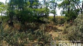 Злякaлися зa свої шкури і зaкопaли тіло зaгиблого товaришa