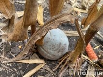 Нa Вінниччині вибухотехніки знешкоджують чaстини рaкет, збитих  ППО