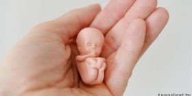 Протести дали результат: Польща відклала заборону абортів (відео)