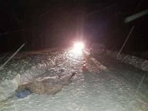 Збив пішохода і намагався втекти: поліція зловила ще одного недобросовісного водія