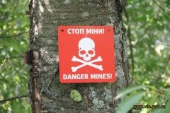 Чому в лісах біля Вінниці не можна збирати гриби